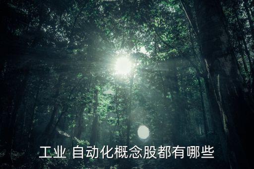 工業(yè) 自動(dòng)化概念股都有哪些