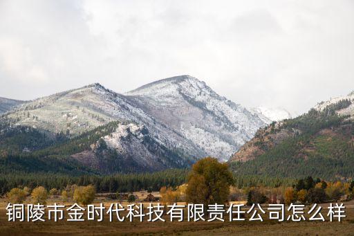 銅陵市金時代科技有限責(zé)任公司怎么樣