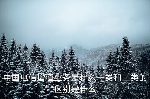 數(shù)據(jù)增值業(yè)務分光,什么叫增值業(yè)務?
