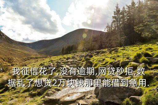 我征信花了,沒有逾期,網(wǎng)貸秒拒,數(shù)據(jù)亂了想貸2萬塊錢那里能借到急用...