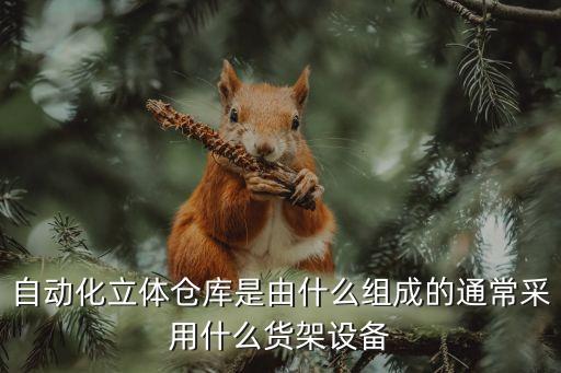 自動(dòng)化倉(cāng)儲(chǔ)設(shè)備有哪些,倉(cāng)儲(chǔ)物流設(shè)備有哪些?