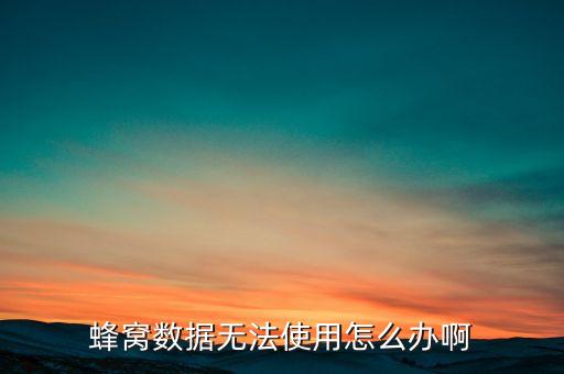 蜂窩數(shù)據(jù)無法使用怎么辦啊