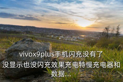 vivox9plus手機閃充沒有了沒顯示也沒閃充效果充電特慢充電器和數(shù)據(jù)...