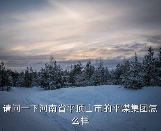 請(qǐng)問一下河南省平頂山市的平煤集團(tuán)怎么樣
