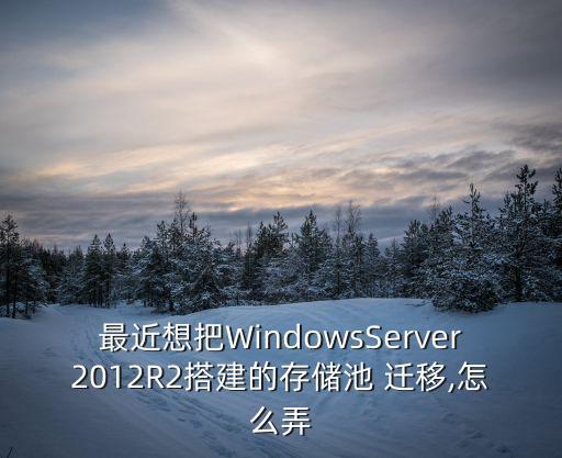 最近想把WindowsServer2012R2搭建的存儲(chǔ)池 遷移,怎么弄