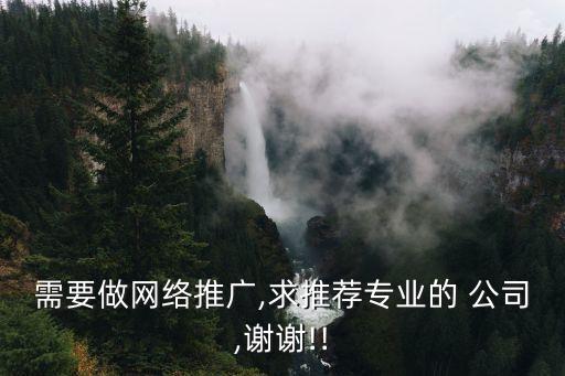 需要做網(wǎng)絡推廣,求推薦專業(yè)的 公司,謝謝!!