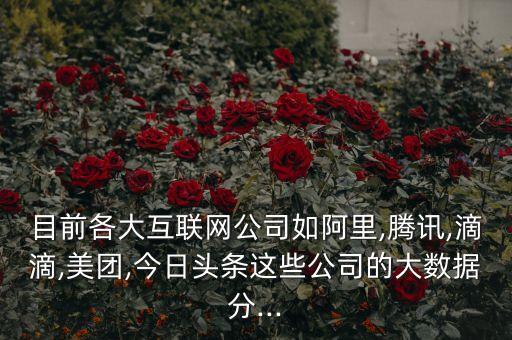 目前各大互聯(lián)網(wǎng)公司如阿里,騰訊,滴滴,美團(tuán),今日頭條這些公司的大數(shù)據(jù)分...