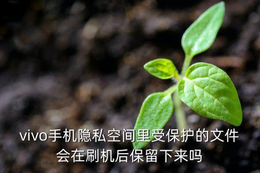 vivo手機(jī)隱私空間里受保護(hù)的文件會(huì)在刷機(jī)后保留下來嗎