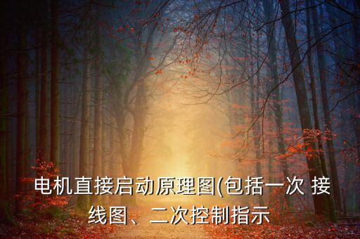 自動化設(shè)備電機接線圖紙,四六級雙速電機接線圖紙