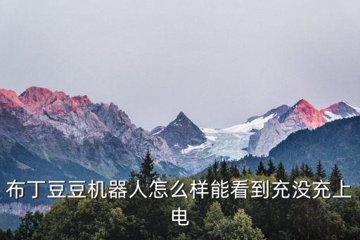 布丁1s機(jī)器人好用嗎,哪款兒童智能機(jī)器人比較好?