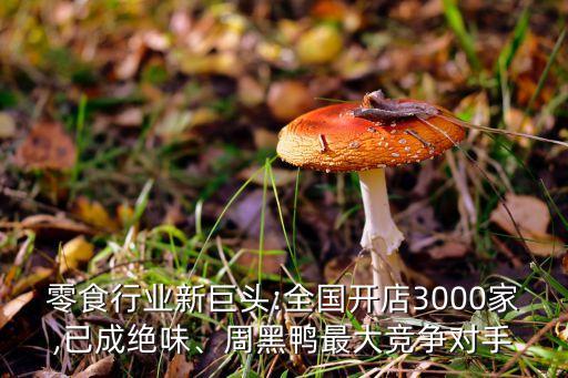 零食行業(yè)新巨頭:全國開店3000家,已成絕味、周黑鴨最大競爭對手