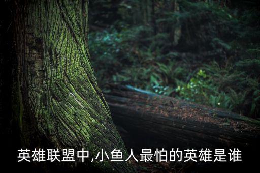 英雄聯(lián)盟中,小魚人最怕的英雄是誰