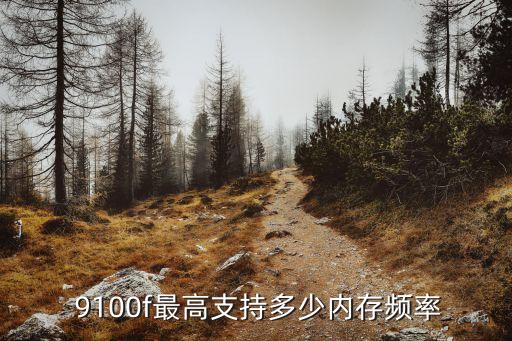 9100f,酷9100f配什么主板?