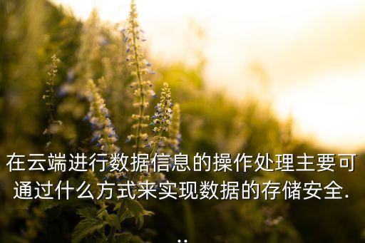 在云端進(jìn)行數(shù)據(jù)信息的操作處理主要可通過什么方式來實(shí)現(xiàn)數(shù)據(jù)的存儲(chǔ)安全...