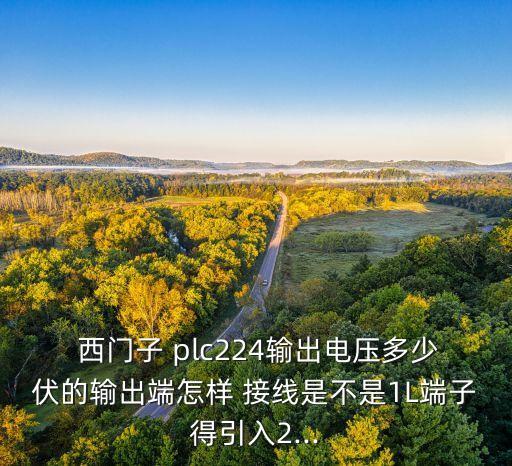  西門(mén)子 plc224輸出電壓多少伏的輸出端怎樣 接線(xiàn)是不是1L端子得引入2...