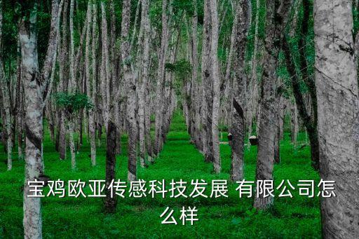  寶雞歐亞傳感科技發(fā)展 有限公司怎么樣
