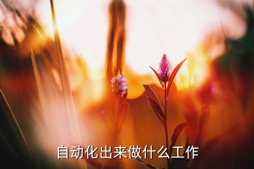自動(dòng)化出來做什么工作
