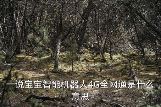 一說寶寶智能機器人4G全網(wǎng)通是什么意思