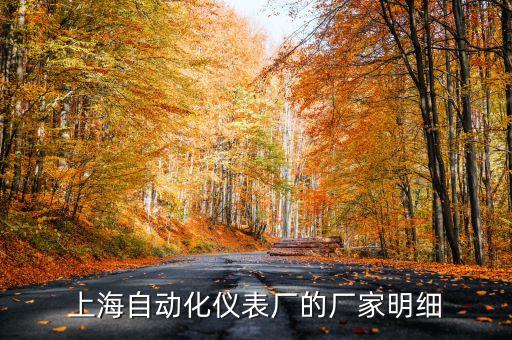 上海自動(dòng)化儀表廠的廠家明細(xì)