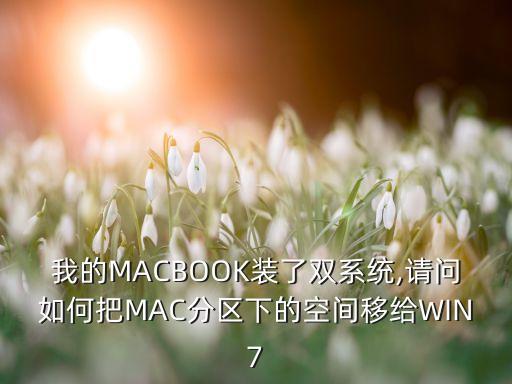 我的MACBOOK裝了雙系統(tǒng),請(qǐng)問(wèn)如何把MAC分區(qū)下的空間移給WIN7