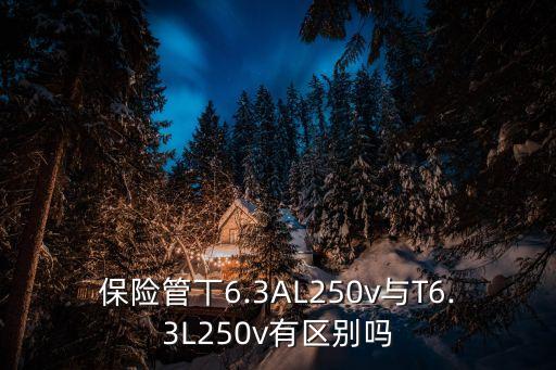 保險(xiǎn)管丅6.3AL250v與T6.3L250v有區(qū)別嗎