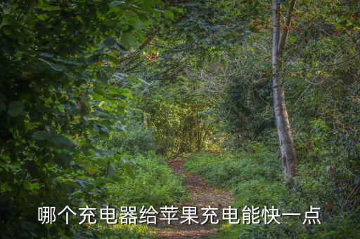 哪個(gè)充電器給蘋(píng)果充電能快一點(diǎn)