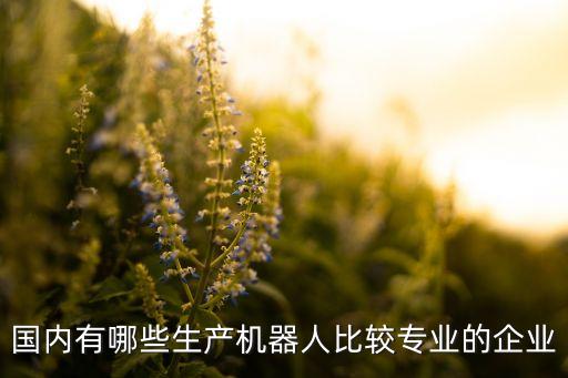 中國機(jī)器人公司嗎,礦業(yè)機(jī)器人排名出爐哪家口碑最好?