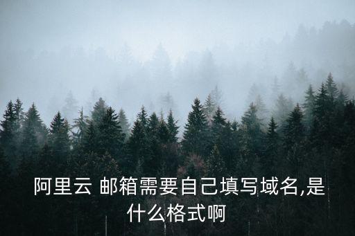  阿里云 郵箱需要自己填寫域名,是什么格式啊