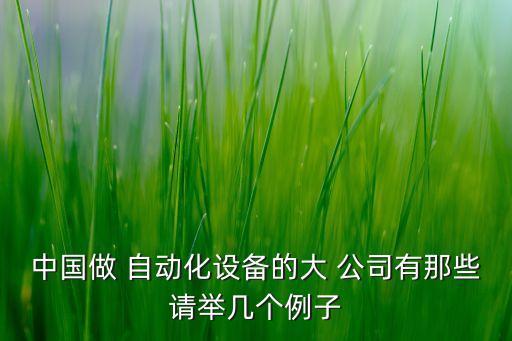 中國(guó)做 自動(dòng)化設(shè)備的大 公司有那些請(qǐng)舉幾個(gè)例子