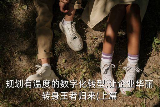 規(guī)劃有溫度的數(shù)字化轉(zhuǎn)型,讓企業(yè)華麗轉(zhuǎn)身王者歸來(上篇