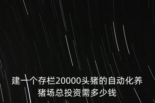 建一個(gè)存欄20000頭豬的自動(dòng)化養(yǎng)豬場(chǎng)總投資需多少錢(qián)