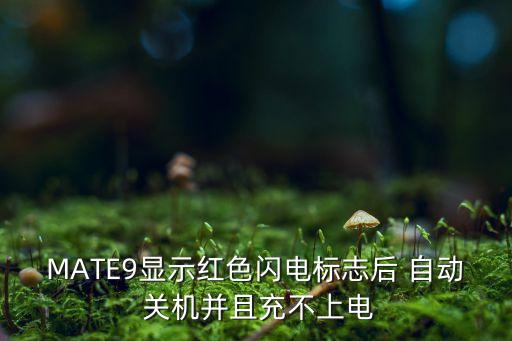 MATE9顯示紅色閃電標志后 自動 關機并且充不上電