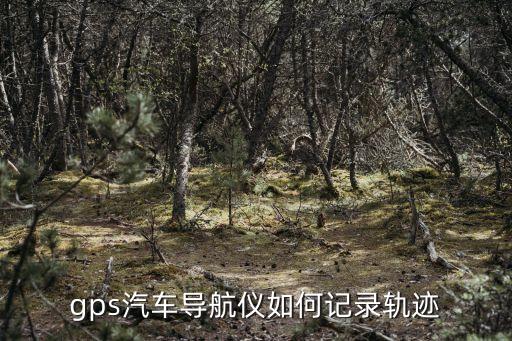 gps汽車導(dǎo)航儀如何記錄軌跡