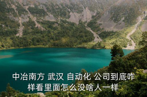 中冶南方 武漢 自動(dòng)化 公司到底咋樣看里面怎么沒啥人一樣