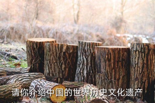 請你介紹中國的世界歷史文化遺產(chǎn)