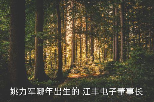姚力軍哪年出生的 江豐電子董事長
