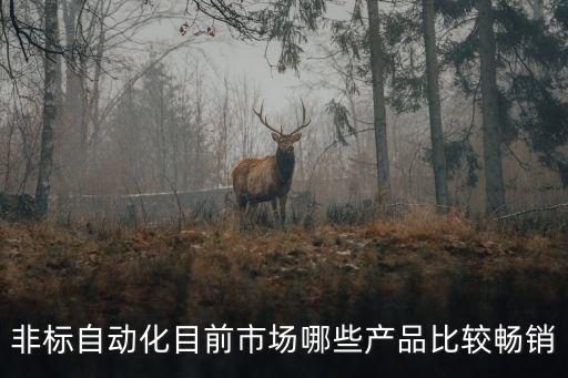 非標(biāo)自動化目前市場哪些產(chǎn)品比較暢銷