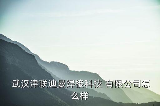  武漢津聯(lián)迪曼焊接科技 有限公司怎么樣