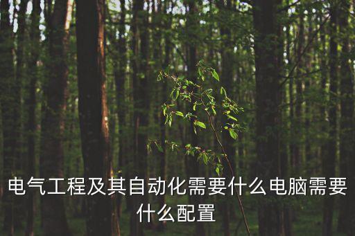 電氣自動(dòng)化標(biāo)配電腦,電氣自動(dòng)化專業(yè)對(duì)電腦配置有什么要求?