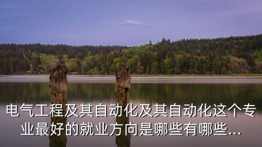 電氣工程及其自動化及其自動化這個專業(yè)最好的就業(yè)方向是哪些有哪些...