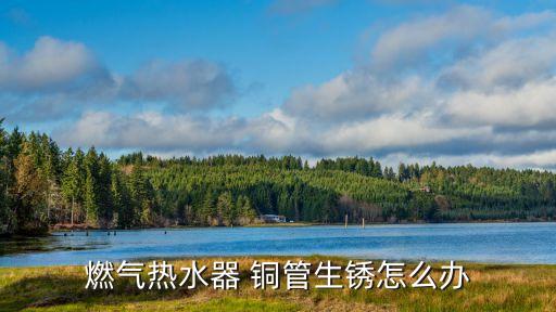 燃?xì)鉄崴?銅管生銹怎么辦