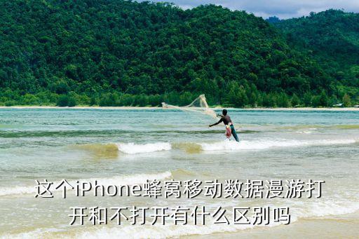 這個iPhone蜂窩移動數(shù)據(jù)漫游打開和不打開有什么區(qū)別嗎