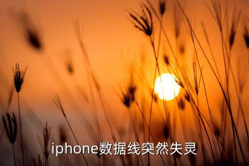 蘋果7數(shù)據(jù)線壞了買什么原因,蘋果數(shù)據(jù)線怎么么老是壞?