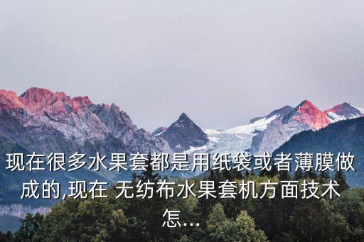 無(wú)紡布袋自動(dòng)化機(jī)器設(shè)備,全自動(dòng)無(wú)紡布袋機(jī)器設(shè)備