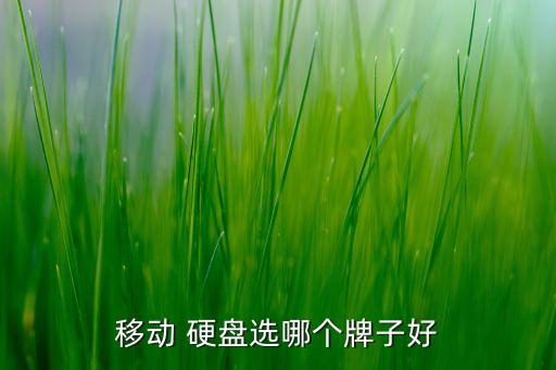 西部數(shù)據(jù) 希捷 移動硬盤