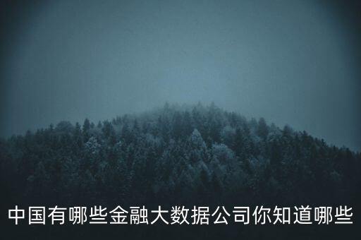 中國有哪些金融大數(shù)據(jù)公司你知道哪些