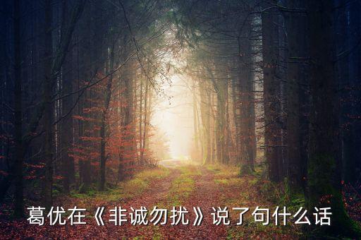 各有,沒有公司沒有股票沒有學(xué)位三無偽海龜葛優(yōu)何去何從?