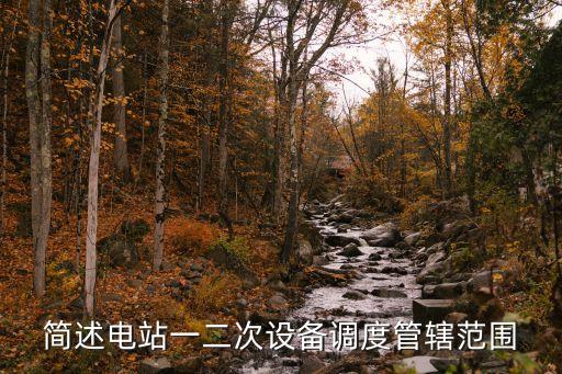 簡(jiǎn)述電站一二次設(shè)備調(diào)度管轄范圍