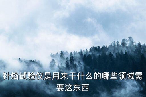 針焰試驗儀是用來干什么的哪些領(lǐng)域需要這東西