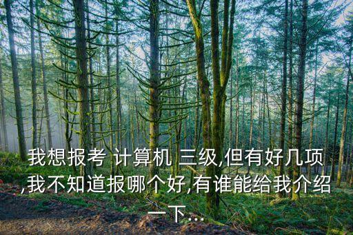 我想報(bào)考 計(jì)算機(jī) 三級(jí),但有好幾項(xiàng),我不知道報(bào)哪個(gè)好,有誰能給我介紹一下...